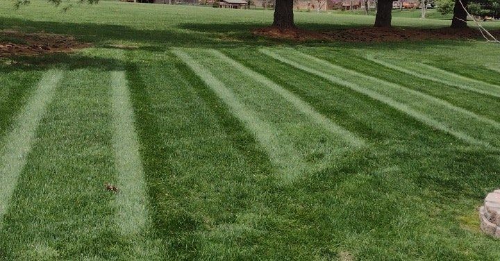 Read more about the article Top 4 Reasons Why Mowing Stripes Matter, And How To Achieve Them
