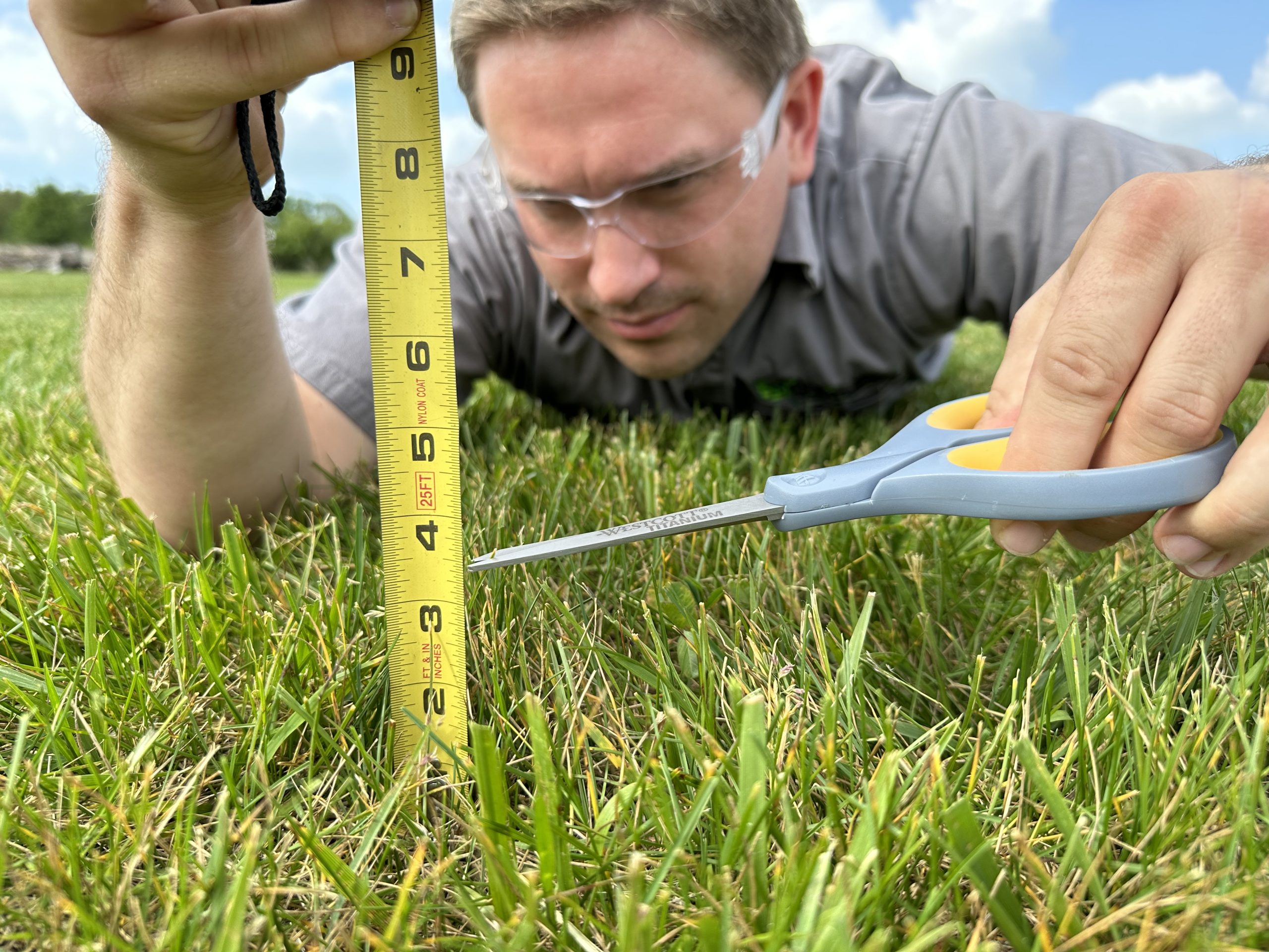 Read more about the article How Short Should I Mow My Lawn?