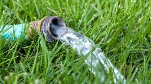 Read more about the article How Often Should You Water Your Lawn?