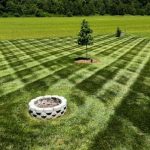 Aerating and Overseeding: The Key To A Lush, Healthy Lawn