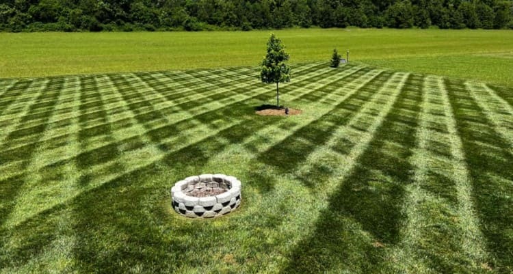 Read more about the article Aerating and Overseeding: The Key To A Lush, Healthy Lawn