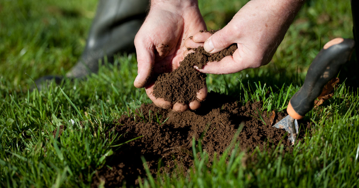 Read more about the article Why Soil Testing Matters And How To Do It